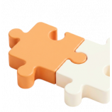 Builds a team of local partners